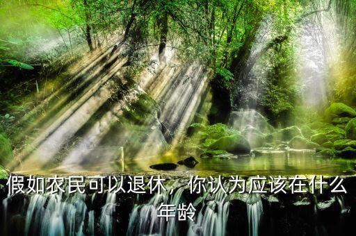 你認為該什么年齡退休,你認為應(yīng)該在什么年齡