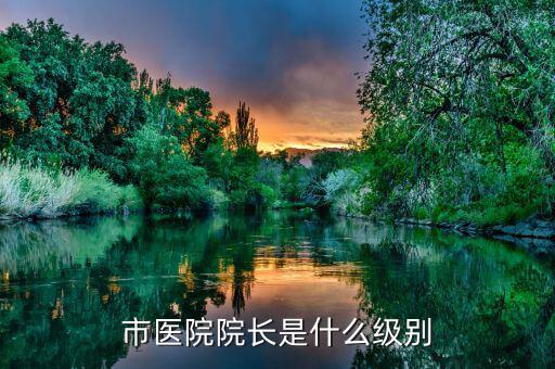 王顯政是什么級(jí)別,市醫(yī)院院長(zhǎng)是什么級(jí)別