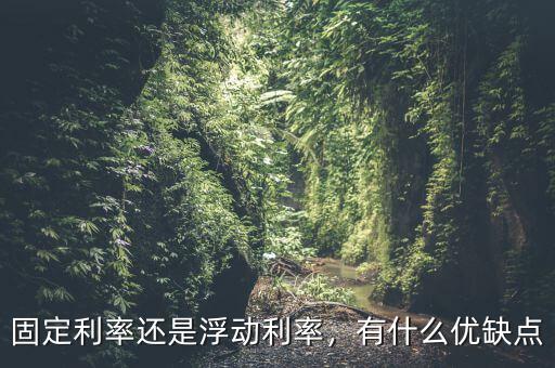 固定利率還是浮動利率，有什么優(yōu)缺點(diǎn)