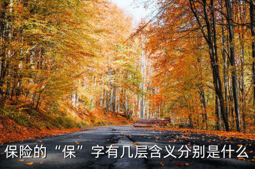 保險(xiǎn)的“?！弊钟袔讓雍x分別是什么