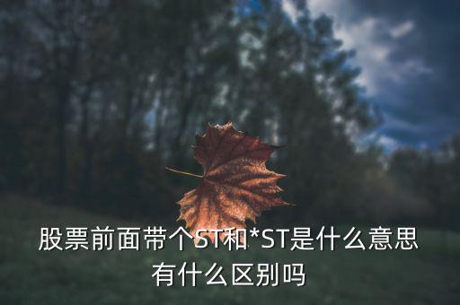 股票被st是什么意思,如何選擇st股票