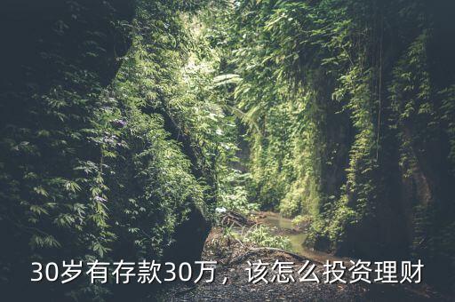 適合30歲怎么投資理財,該怎么投資理財