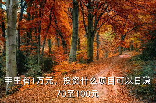 手里有1萬元，投資什么項目可以日賺70至100元