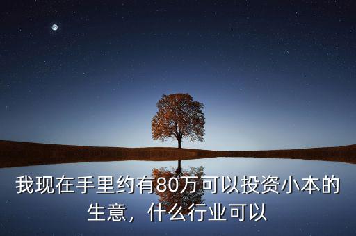 我現(xiàn)在手里約有80萬(wàn)可以投資小本的生意，什么行業(yè)可以