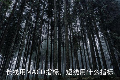 做短線用什么指標(biāo),長線用MACD指標(biāo)