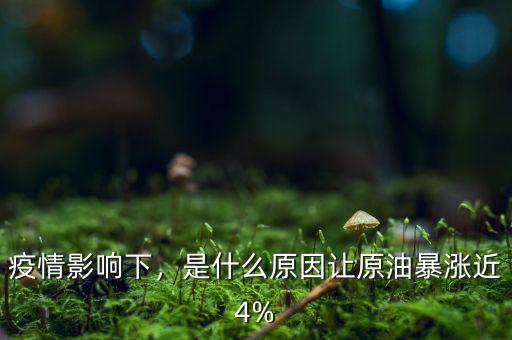 疫情影響下，是什么原因讓原油暴漲近4%