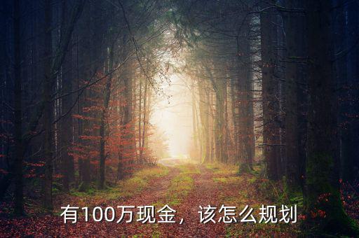 有100萬現(xiàn)金，該怎么規(guī)劃