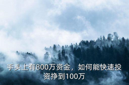 手頭上有800萬資金，如何能快速投資掙到100萬