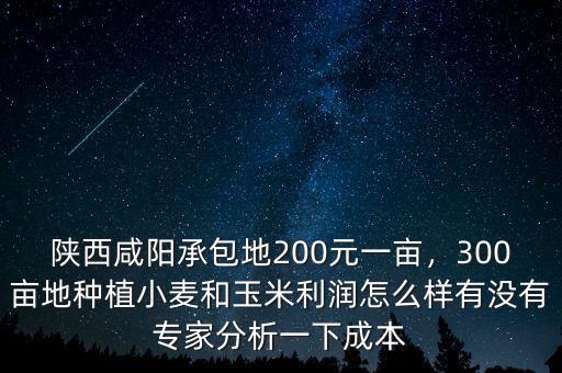 陜西咸陽承包地200元一畝，300畝地種植小麥和玉米利潤怎么樣有沒有專家分析一下成本