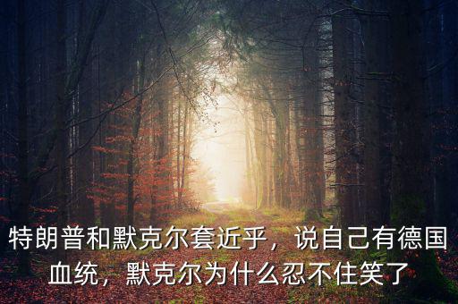 特朗普和默克爾套近乎，說自己有德國血統(tǒng)，默克爾為什么忍不住笑了