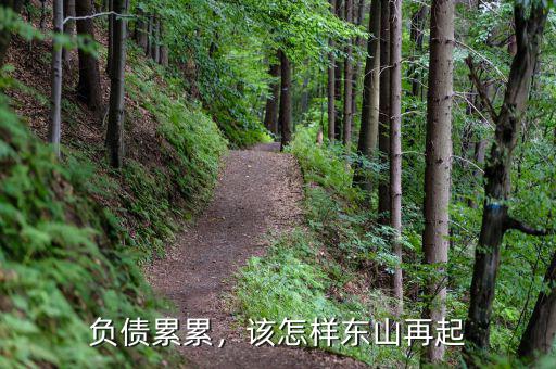 負債累累怎么東山再起,該怎樣東山再起