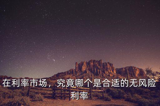 什么是無風(fēng)險(xiǎn)利率,什么是無風(fēng)險(xiǎn)利率