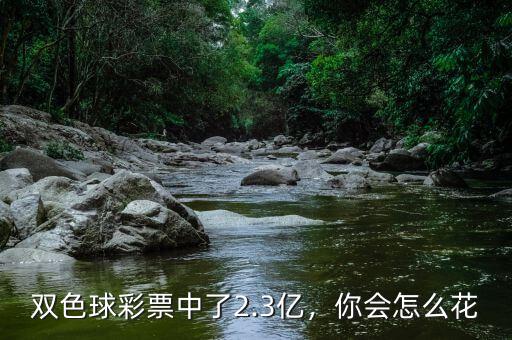 雙色球彩票中了2.3億，你會怎么花