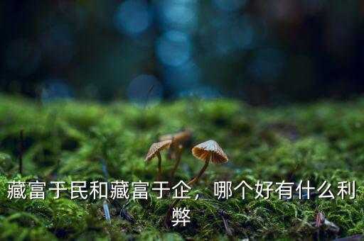 藏富于民要等到什么時(shí)候,藏富于國(guó)的漢朝