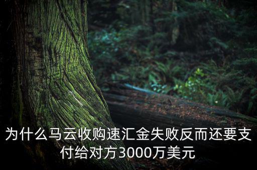 為什么馬云收購速匯金失敗反而還要支付給對方3000萬美元