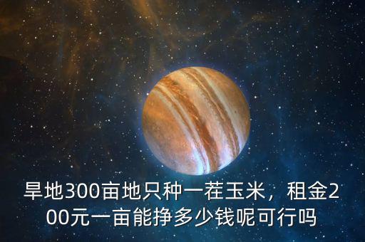 旱地300畝地只種一茬玉米，租金200元一畝能掙多少錢呢可行嗎