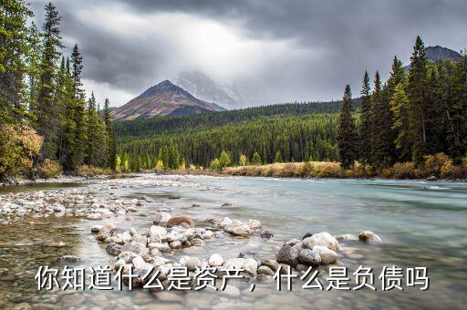 你知道什么是資產(chǎn)，什么是負債嗎