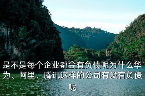 是不是每個企業(yè)都會有負(fù)債呢為什么華為、阿里、騰訊這樣的公司有沒有負(fù)債呢