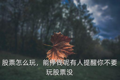 股票怎么玩，能掙錢呢有人提醒你不要玩股票沒