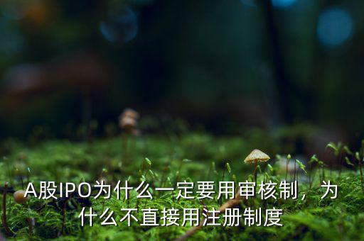 A股IPO為什么一定要用審核制，為什么不直接用注冊(cè)制度