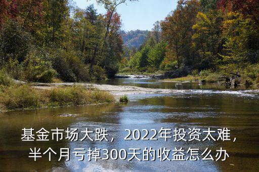 基金市場(chǎng)大跌，2022年投資太難，半個(gè)月虧掉300天的收益怎么辦