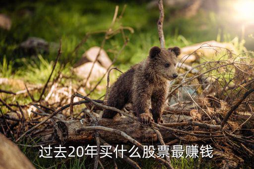 過(guò)去20年買什么股票最賺錢