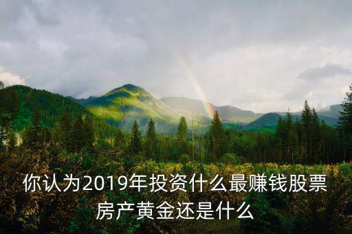 你認為2019年投資什么最賺錢股票房產(chǎn)黃金還是什么