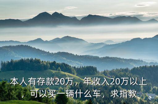 本人有存款20萬，年收入20萬以上，可以買一輛什么車，求指教