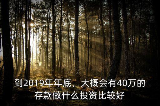 到2019年年底，大概會有40萬的存款做什么投資比較好