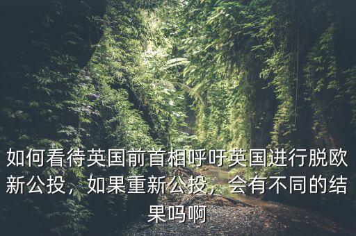 英國公投是什么,公投脫歐對英國有利嗎