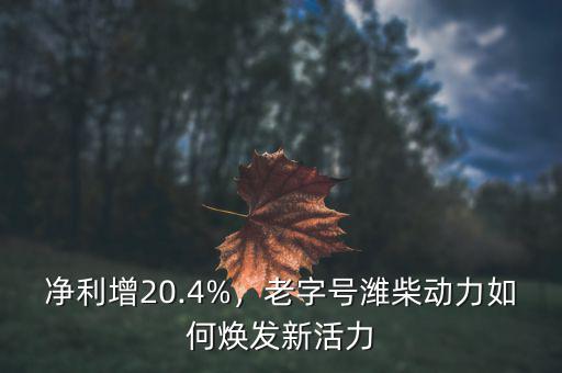 2015年濰柴動力怎么樣,濰柴動力怎么樣