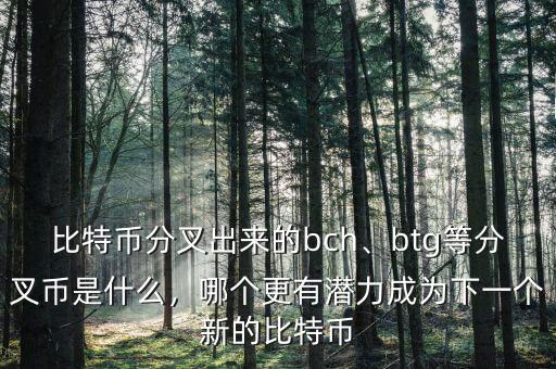 比特幣分叉出來的bch、btg等分叉幣是什么，哪個(gè)更有潛力成為下一個(gè)新的比特幣