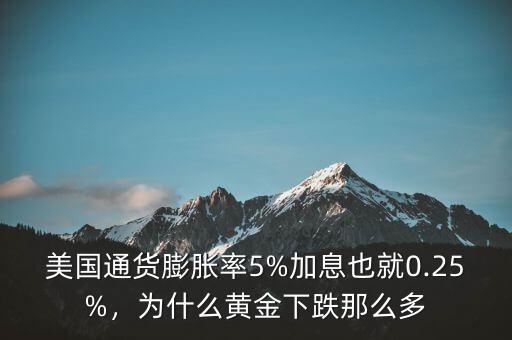 美國通貨膨脹率5%加息也就0.25%，為什么黃金下跌那么多