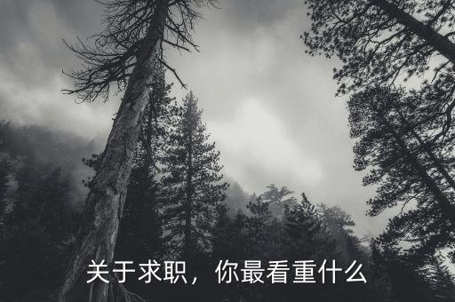 關(guān)于求職，你最看重什么