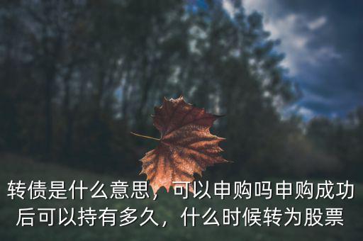 海運轉(zhuǎn)債什么意思,轉(zhuǎn)債是什么意思