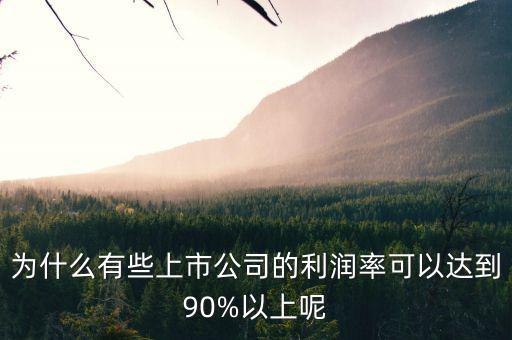 為什么有些上市公司的利潤率可以達(dá)到90%以上呢