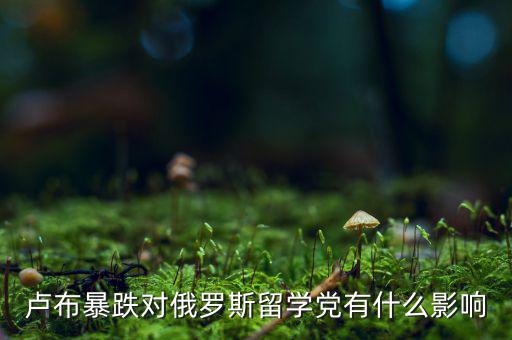 盧布暴跌對俄羅斯留學(xué)黨有什么影響