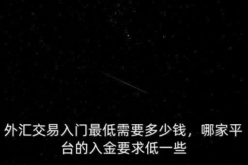 外匯交易入門最低需要多少錢，哪家平臺(tái)的入金要求低一些