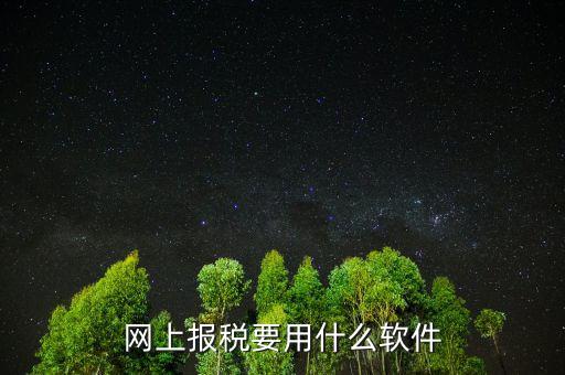 網(wǎng)上報稅下載什么軟件，深圳etax網(wǎng)上報稅軟件哪里下載