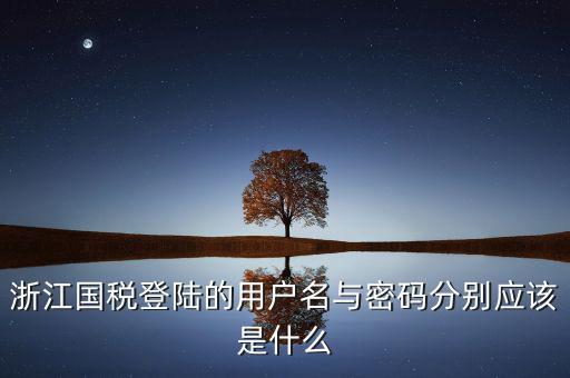 浙江省網(wǎng)上稅務局賬號是什么，電子稅務局賬號是什么號碼