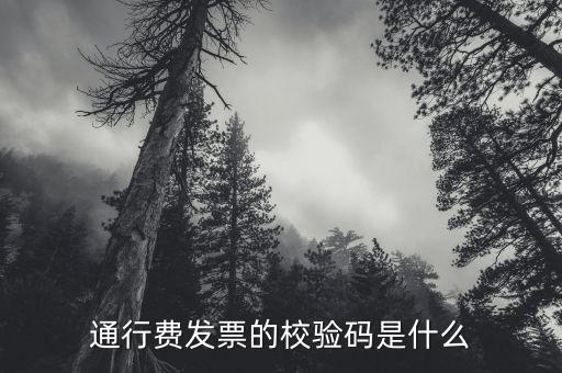 查驗發(fā)票驗證碼是什么，通行費發(fā)票的校驗碼是什么