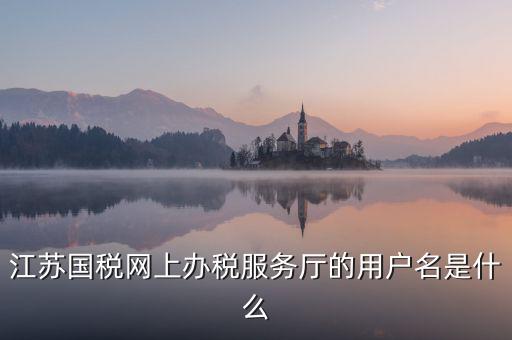 江蘇國稅網(wǎng)上辦稅服務(wù)廳的用戶名是什么