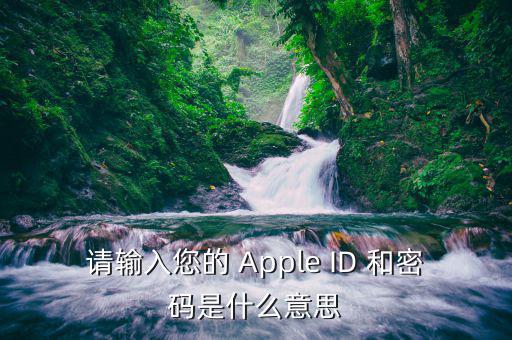 請(qǐng)輸入您的 Apple ID 和密碼是什么意思