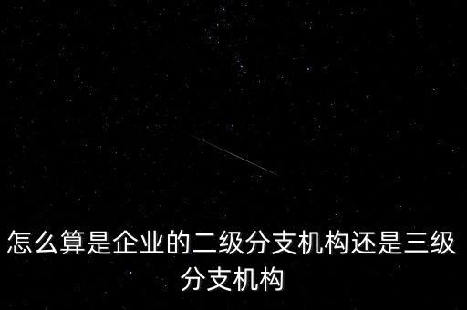 什么叫企業(yè)二級分支機構(gòu)，現(xiàn)在分公司要辦稅務(wù)登記證但是我想問一下二級分機構(gòu)指的是