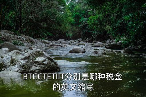 bt 是什么稅，BTCCTETIIT分別是哪種稅金的英文縮寫(xiě)