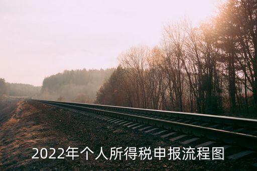 2022年個人所得稅申報(bào)流程圖