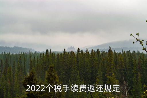 個稅返手續(xù)費(fèi)什么時間，退個稅手續(xù)費(fèi)2022年新規(guī)定