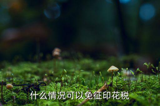 印花稅免稅是什么政策規(guī)定，什么情況可以免征印花稅