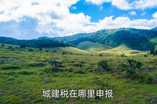 地稅城市維護建設(shè)稅按什么申報，城建稅申報