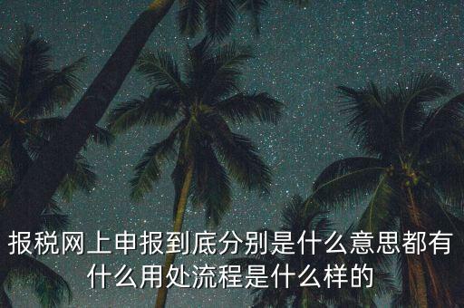 報(bào)稅網(wǎng)上申報(bào)到底分別是什么意思都有什么用處流程是什么樣的